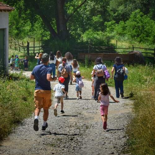Photo #13703571