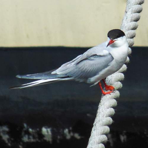 Photo #13703628