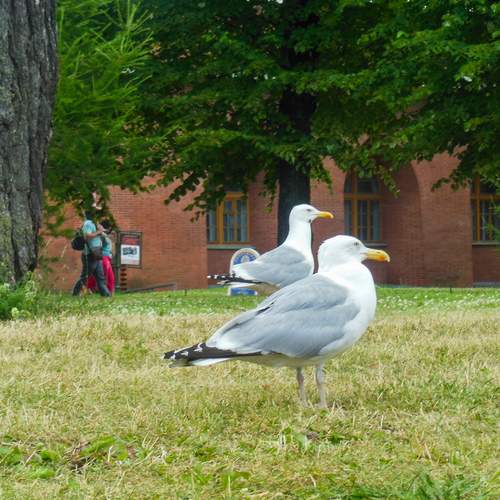 Photo #13703631