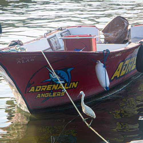 Photo #13703642