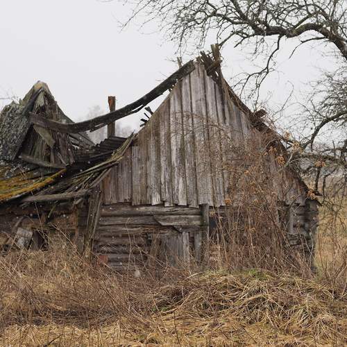 Photo #13703648