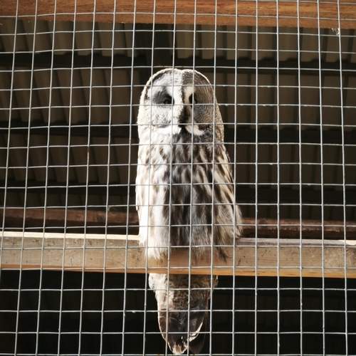Photo #13703737