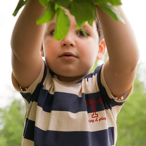 Photo #13703831
