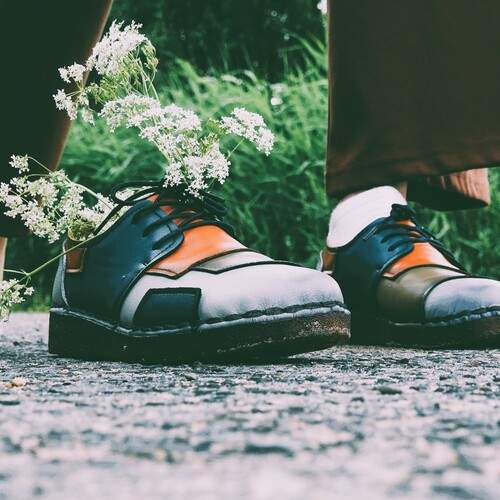 Photo #13703832
