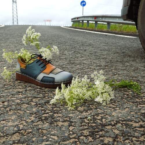 Photo #13703834