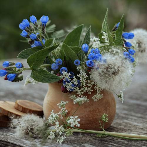 Photo #13703850