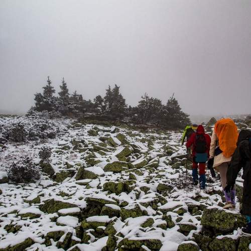 Photo #13703878