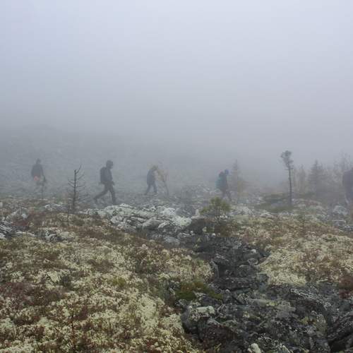 Photo #13703880