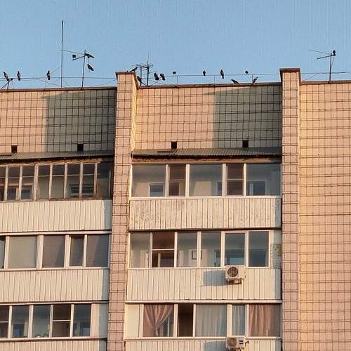 Photo #13703911