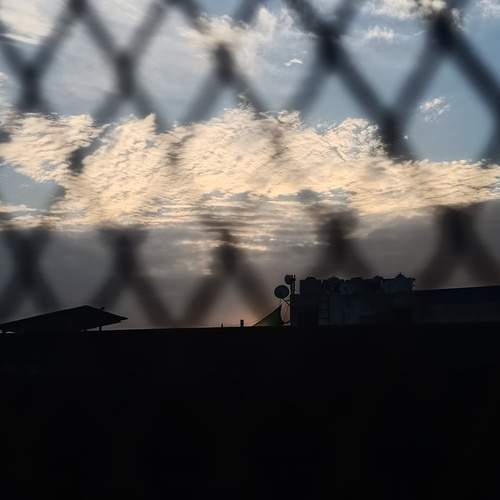 Photo #13703940