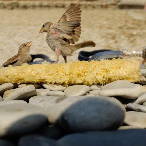 Photo #13703945
