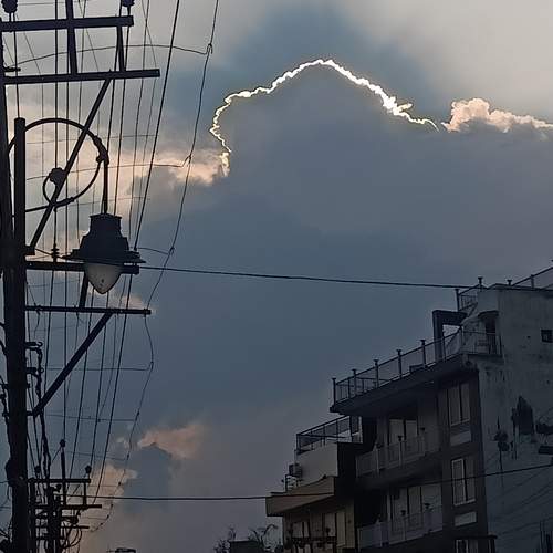 Photo #13703946