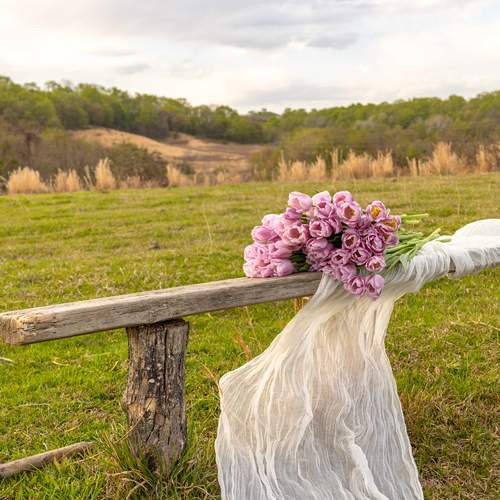 Photo #13703956