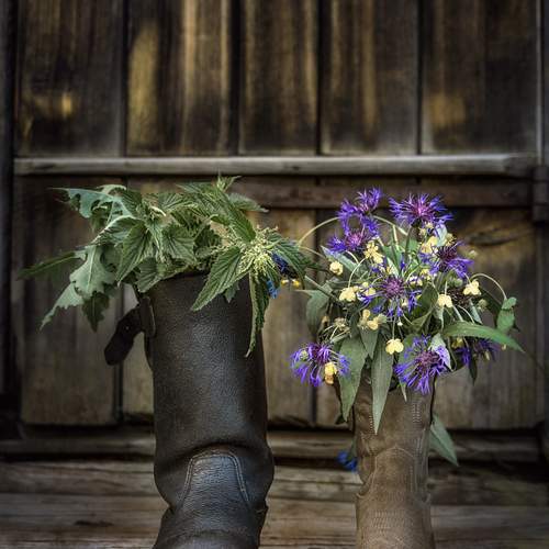 Photo #13704003