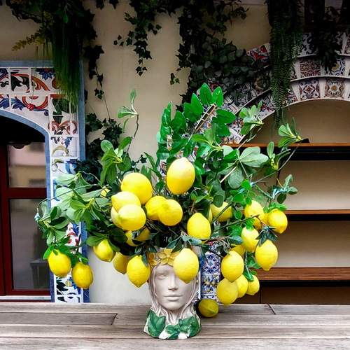 Photo #13704071