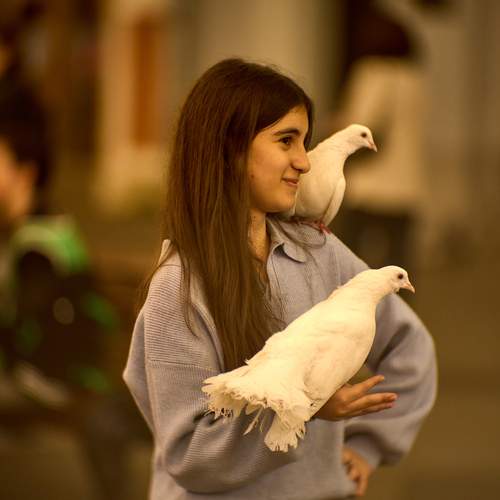 Photo #13704117