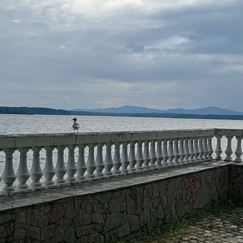 Photo #13704120