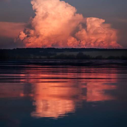 Photo #13704249