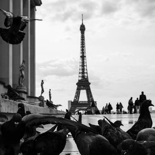 Photo #13704266