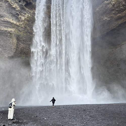Photo #13704312