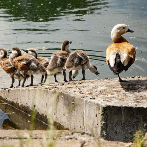Photo #13704344