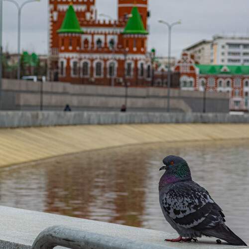 Photo #13704374