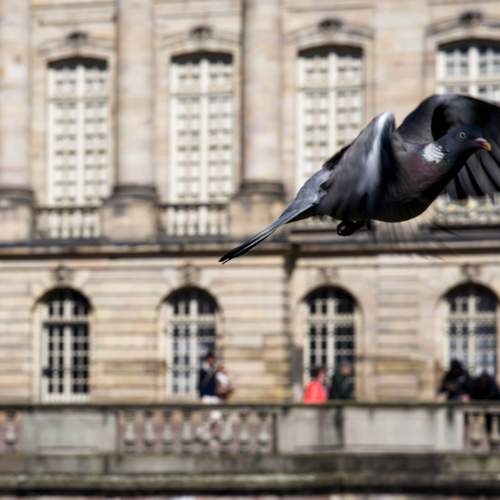 Photo #13704408