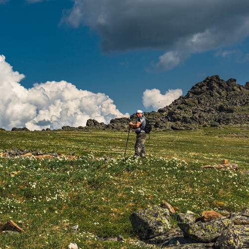 Photo #13704416