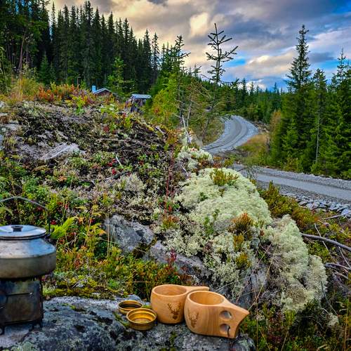 Photo #13704435