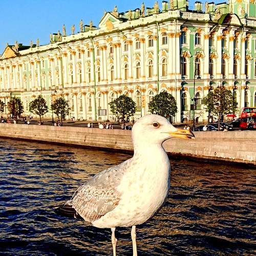 Photo #13704535