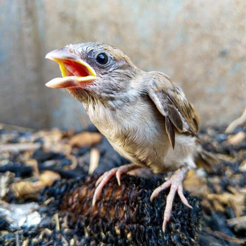 Photo #13704584