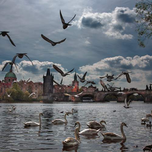 Photo #13704590