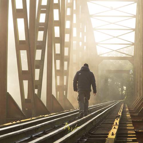 Photo #13704606