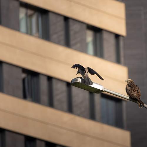 Photo #13704613