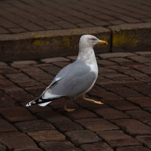 Photo #13704622