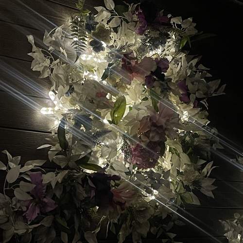 Photo #13704623