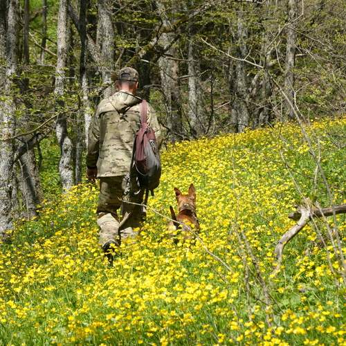 Photo #13704705