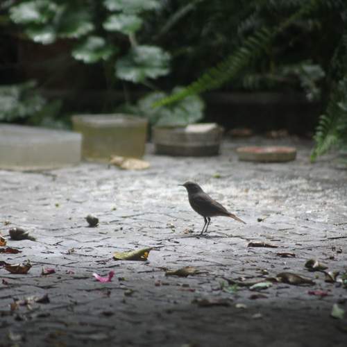 Photo #13704724