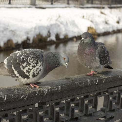 Photo #13704757