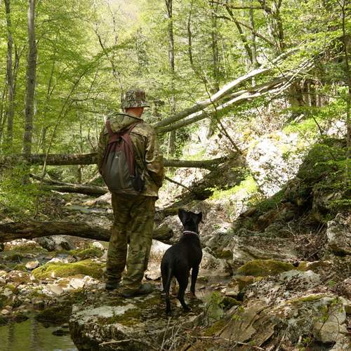 Photo #13704777