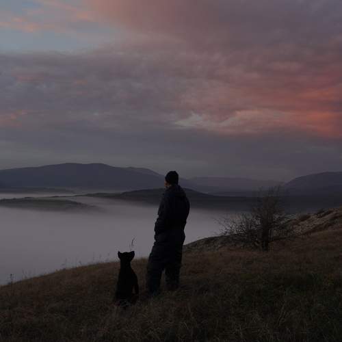 Photo #13704787