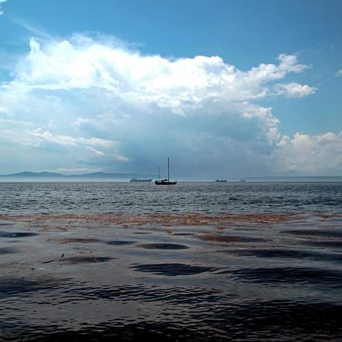 Photo #13704882