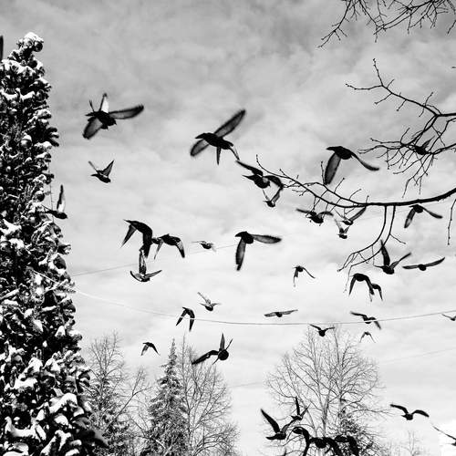 Photo #13704926