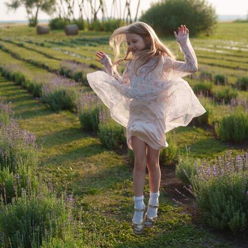 Photo #13704946