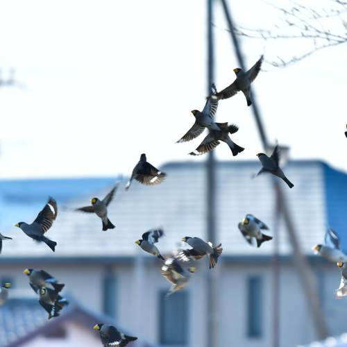 Photo #13705057