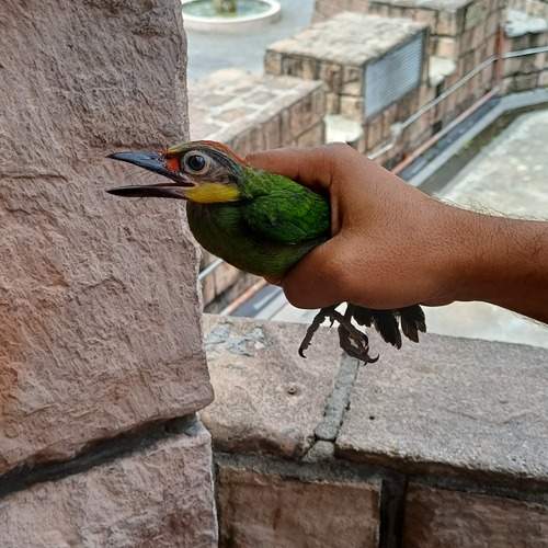 Photo #13705061
