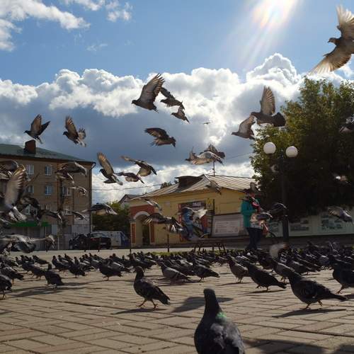 Photo #13705064