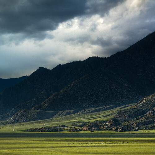 Photo #13705095