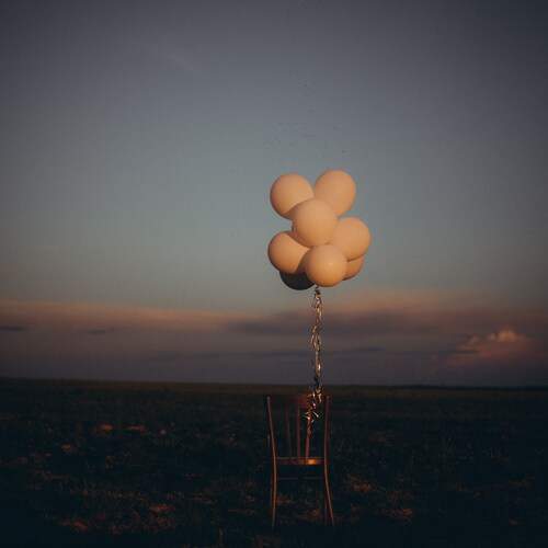 Photo #13705166
