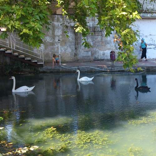 Photo #13705175